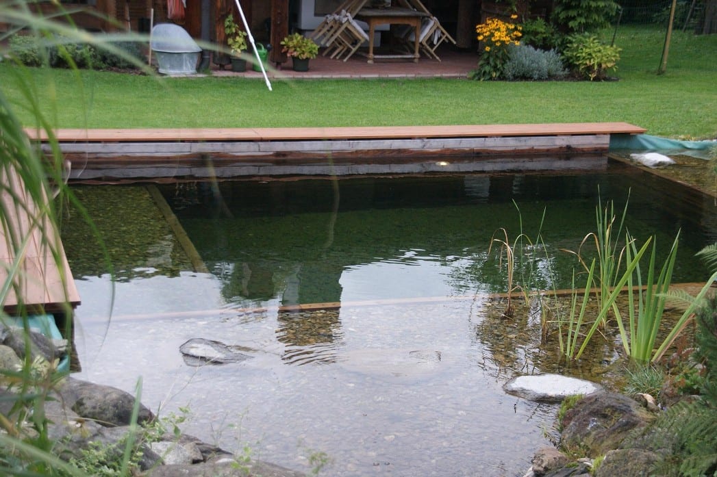 Naturnahe Gärten Hochwimmer Schwimmteiche Bilder und Videos