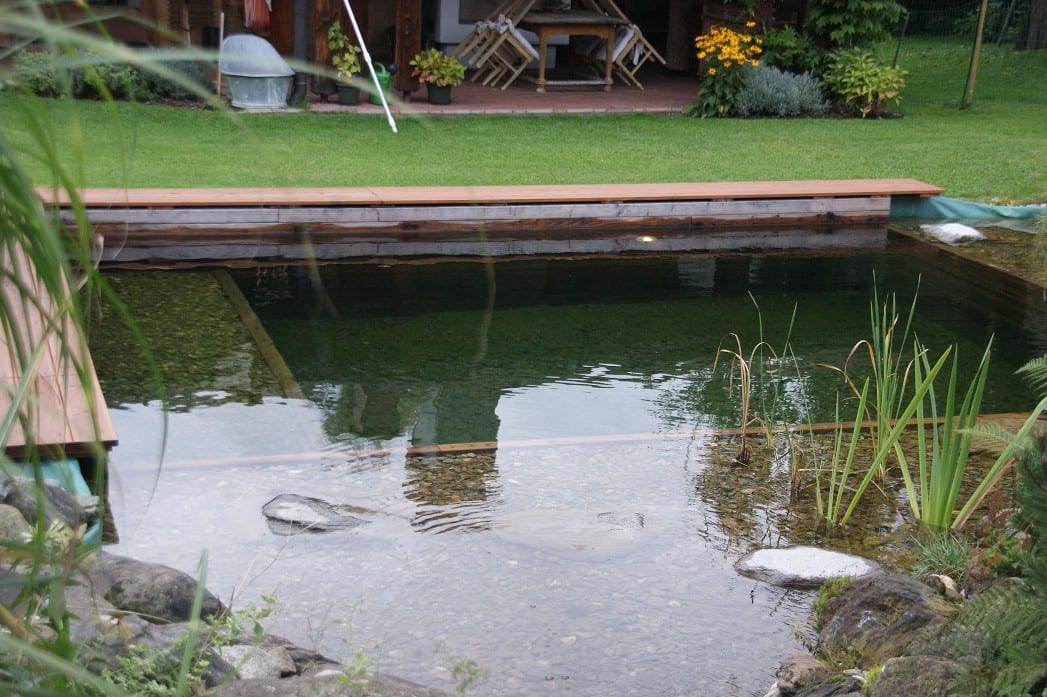 Schwimmteiche Naturnahe Gärten Hochwimmer